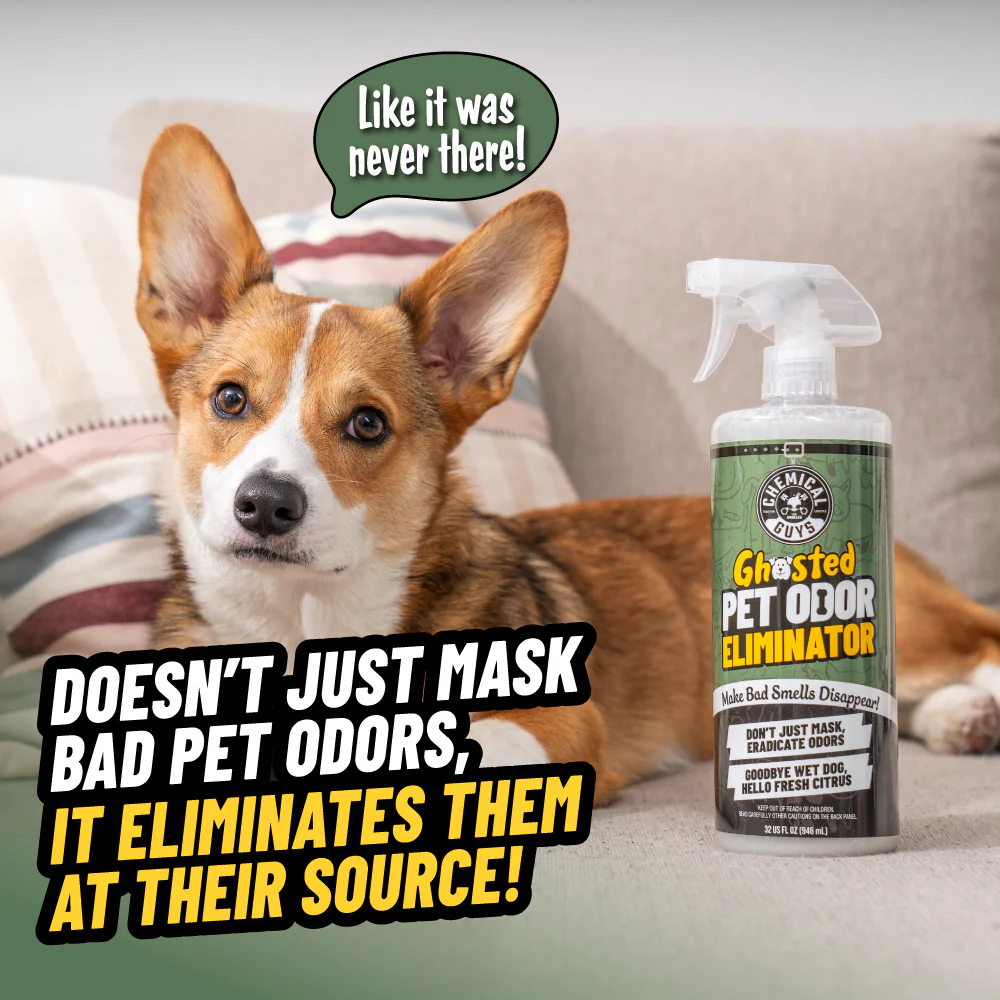 Ghosted Pet Odor Eliminator 2 Ghosted Pet Odor Eliminator