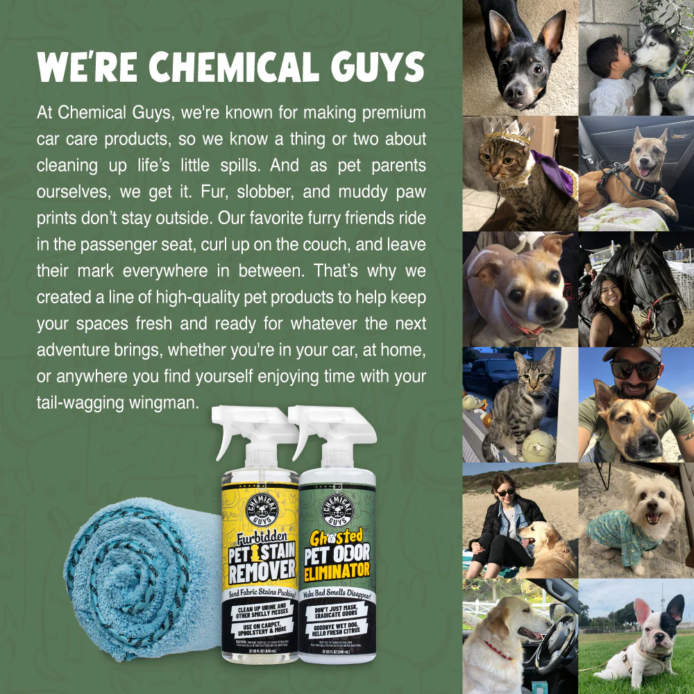 Ghosted Pet Odor Eliminator 5 Ghosted Pet Odor Eliminator