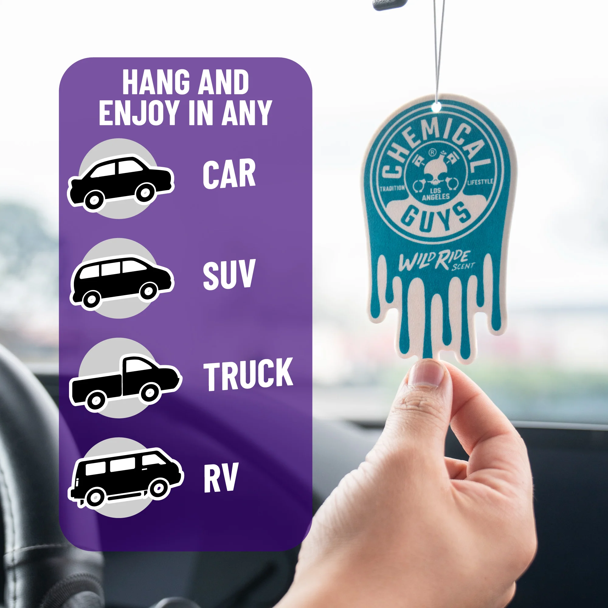 Wild Ride Hanging Air Freshener 5 Wild Ride Hanging Air Freshener